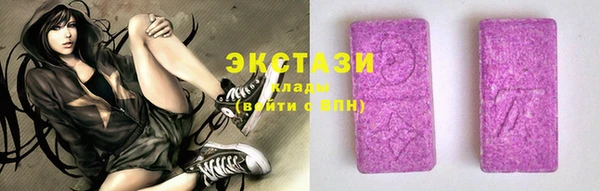 бошки Инта