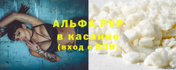 шишки Инсар