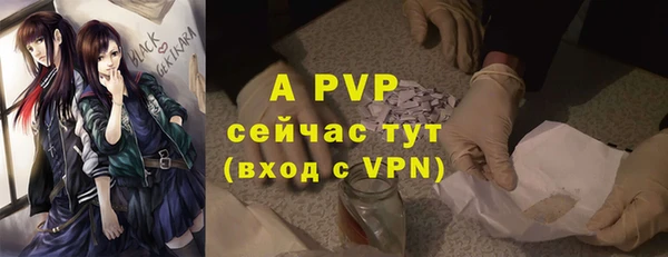 гидра Зеленокумск