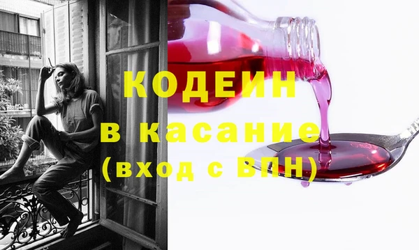 шишки Инсар