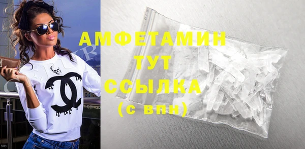 шишки Инсар