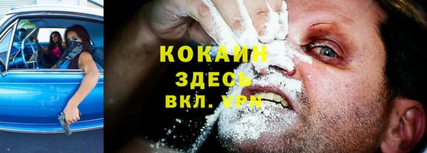 гидра Зеленокумск