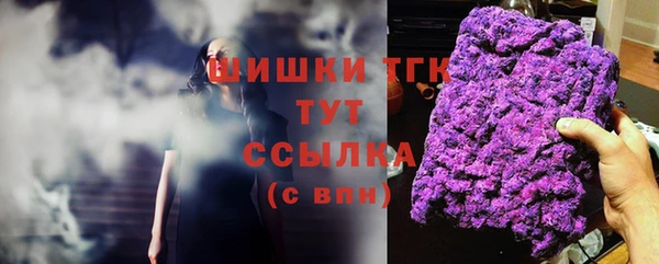 шишки Инсар