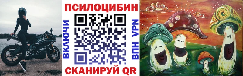 Купить закладки  Калининск  Псилоцибиновые грибы Psilocybine cubensis 